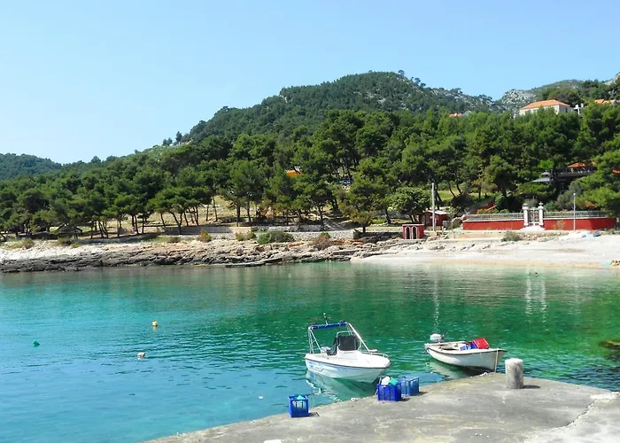 דירה Dida חוואר